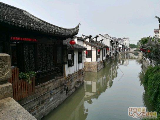 抢鲜剧透!氛围拉满!迎新春,淄博这些地方放大招了!