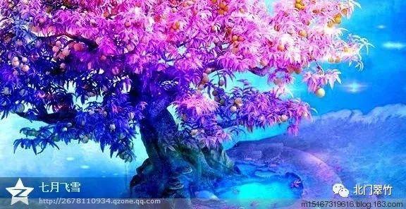 春雨直播app